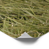 Modern Photo Welcome Sign With Arched Text Poster (Hoek)