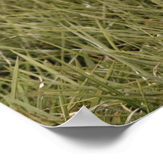 Modern Photo Welcome Sign With Arched Text Poster (Hoek)