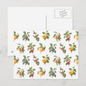 modern  plantaardig fruit briefkaart (Voorkant / Achterkant)