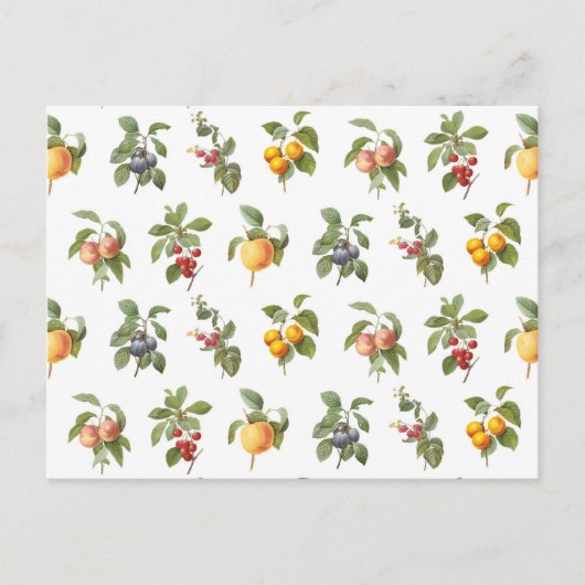 modern  plantaardig fruit briefkaart (Voorkant)