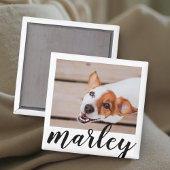 Modern Playful Simple Chic Pet Photo Magneet