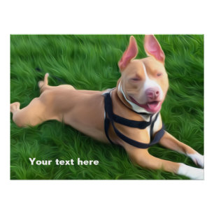Modern poster met pit-hond op groen gras