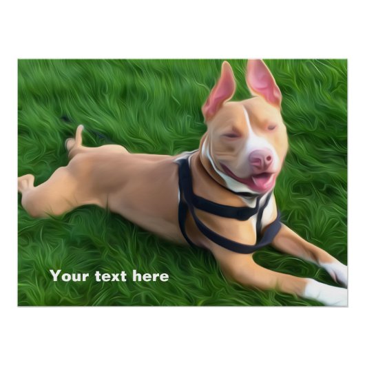 Modern poster met pit-hond op groen gras (Voorkant)