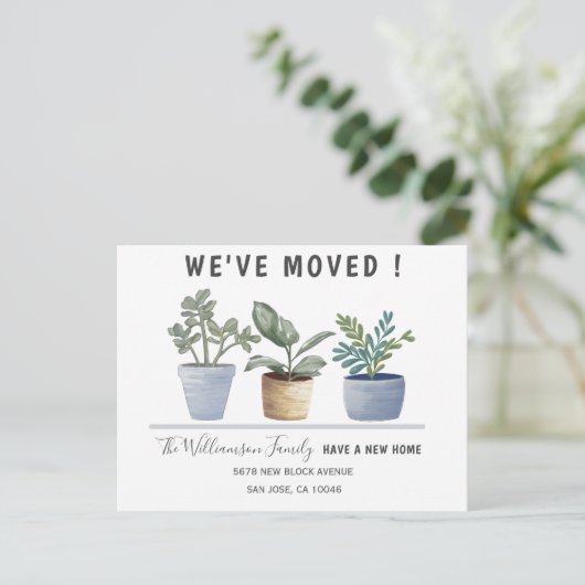 Modern Potted Planten We hebben onze aankondiging (Staand voorkant)