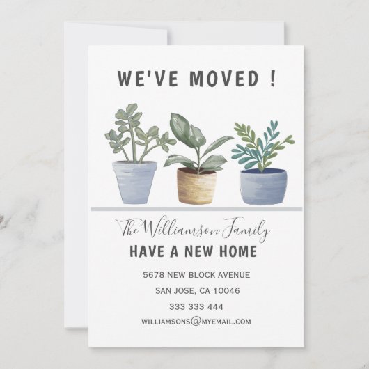 Modern Potted Planten We hebben onze aankondiging (Voorkant)