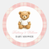 Modern Preppy Beer Roze Plaid Baby shower Ronde Sticker (Voorkant)