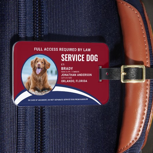 Modern Red Blue Simple Service Dog Photo ID Badge Bagagelabel
