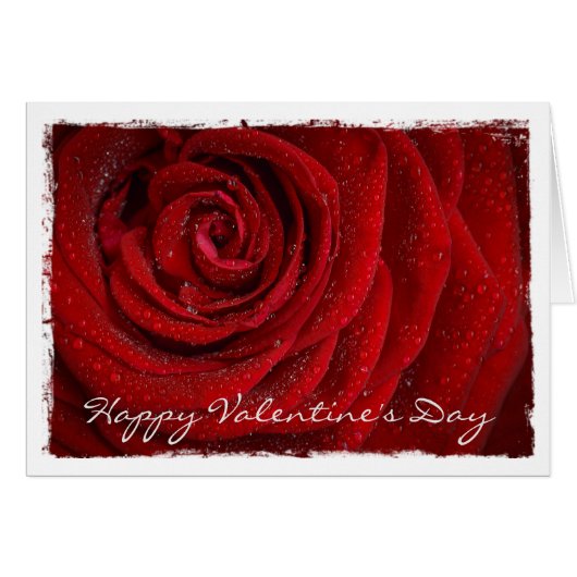 Modern Red Rose Custom Text Wenskaart (Voorkant Horizontaal)