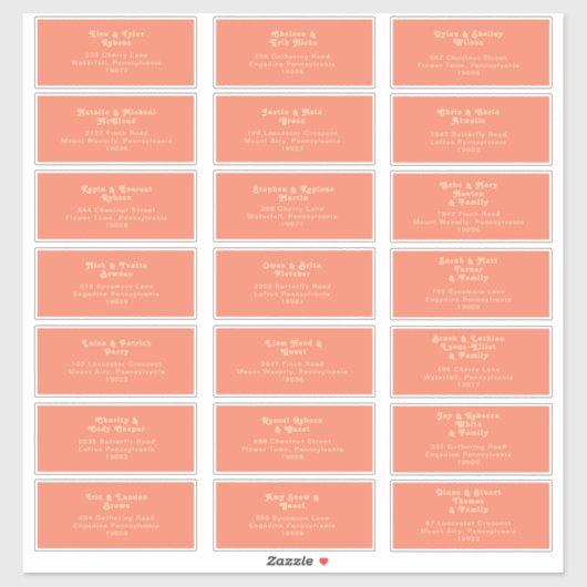 Modern Retro | Coral Wedding Guest Address Sticker (Vel)
