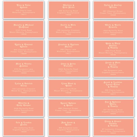Modern Retro | Coral Wedding Guest Address Sticker (Voorkant)