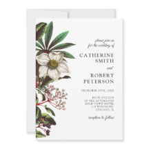 Modern  Roos met witte kerst