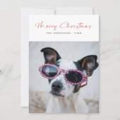 Modern Script Grappig Hond Foto Familie Kerst Rood Feestdagenkaart (Voorkant)