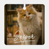 Modern Script Pet Photo Kerstmis Metalen Ornament (Achterkant)
