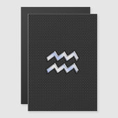 Modern Silver Aquarius Zodiac Sign on Snake (Voorkant / Achterkant)