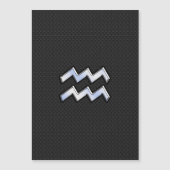 Modern Silver Aquarius Zodiac Sign on Snake (Voorkant)