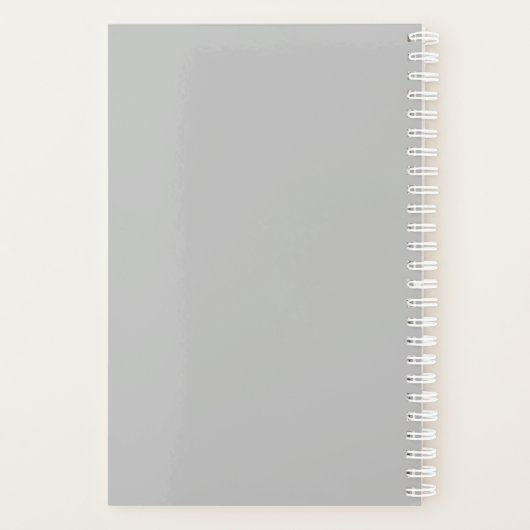 Modern Silver Bokeh Planner (Achterkant)