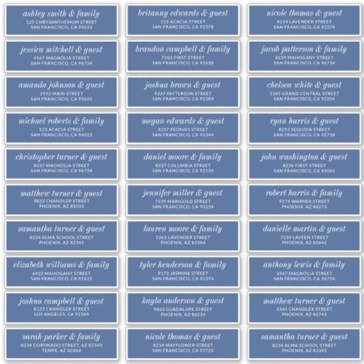 Modern Simple Chic Wedding Guest Names Address Sticker (Voorkant)