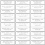 Modern Simple Chic Wedding Guest Names Address Sticker<br><div class="desc">Bestaat uit eenvoudige sans serif en moderne serif typografie. Deze elementen zijn eenvoudig,  elegant en modern. Dit heeft 30 sticker. Dit is ontworpen door White Paper Birch Co. exclusief voor Zazzle. Hier te vinden op: http://www.zazzle.com/store/whitepaperbirch</div>