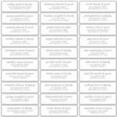 Modern Simple Chic Wedding Guest Names Address Sticker (Voorkant)