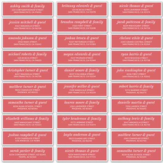 Modern Simple Chic Wedding Guest Names Address Sticker (Voorkant)