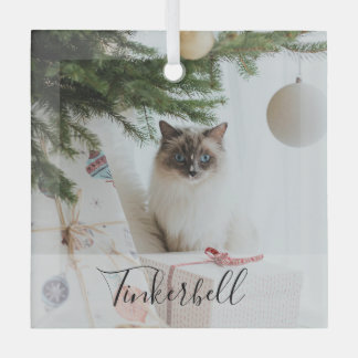 Modern Simple Classic at Name and Pet Photo  Glas Ornament