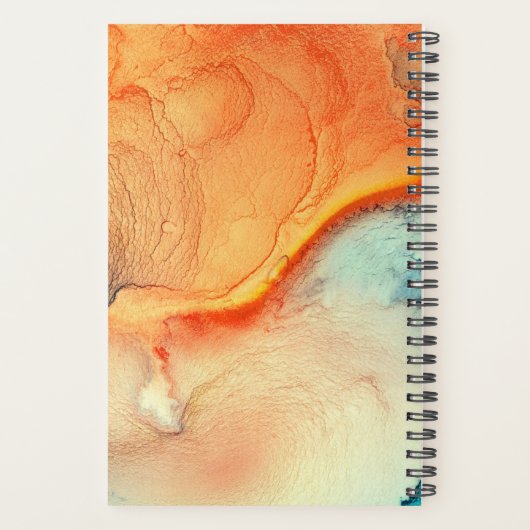 Modern Sinaasappel en Blauw Marmered Monogram Planner (Achterkant)