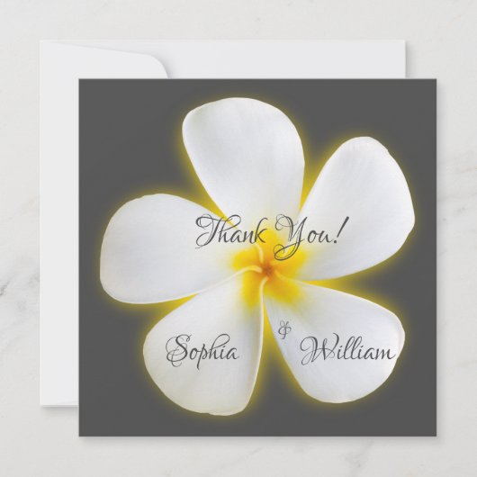 Modern Square White Plumeria Flower, bedankt (Voorkant)