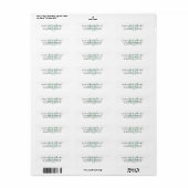 Modern stijlvol Mint Green Brush Monogram Etiket (Full Sheet)