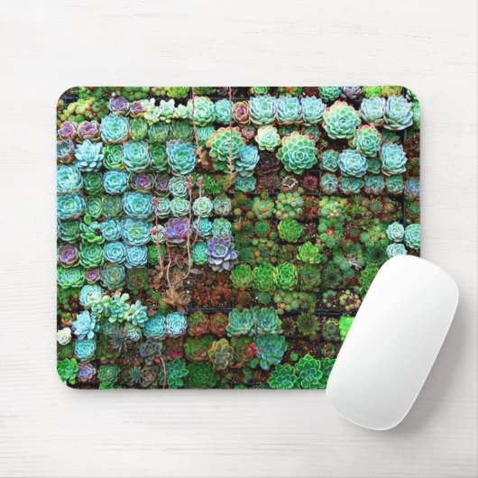 Modern Succulent Collectie Green Botanical Muismat (Met muis)
