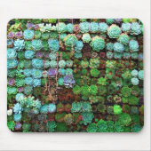 Modern Succulent Collectie Green Botanical Muismat (Voorkant)