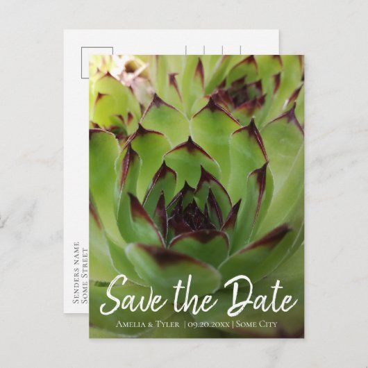 Modern Succulent Script Green Save the Date Aankondigingskaart (Voorkant / Achterkant)