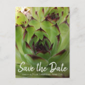 Modern Succulent Script Green Save the Date Aankondigingskaart (Voorkant)