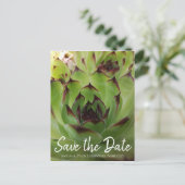 Modern Succulent Script Green Save the Date Aankondigingskaart (Staand voorkant)