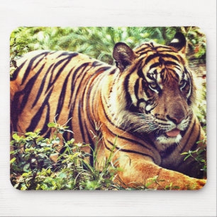 Modern Sumatran Tiger Mousepad Muismat
