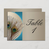 Modern Taupe Aqua Peacock Feather Tafelnummer (Voorkant / Achterkant)