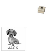 Modern Trendy Personalized Dachshund  Rubberstempel (Gestempeld)