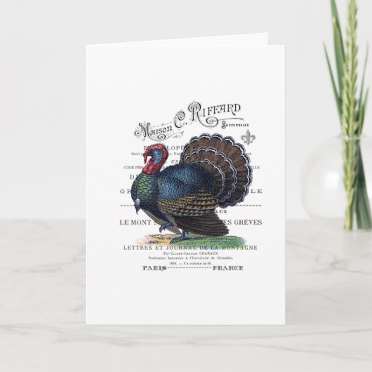 modern  Turkije Feestdagen Kaart (Voorkant)