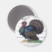 modern  Turkije Magneet (Voorkant / Achterkant)