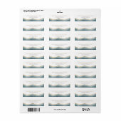 Modern Turquoise Gold Agate Wedding Address Etiket (Full Sheet)