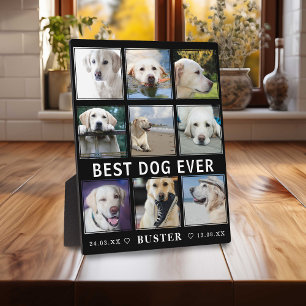 Modern Verlies van Huisdier Beste Hond Ooit Foto Fotoplaat