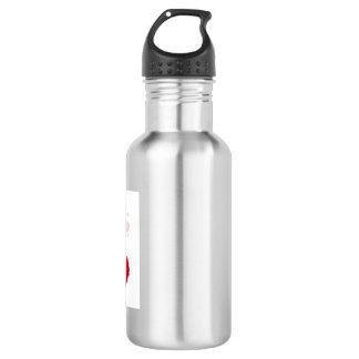 Modern Water Bottle Collection – Gym, Travel & Eve Waterfles