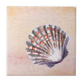 Modern watercolor background Seashell Painting Tegeltje
