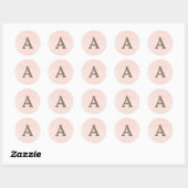 Modern Waterverf Wash | Blush Envelope Seal Ronde Sticker (Vel)