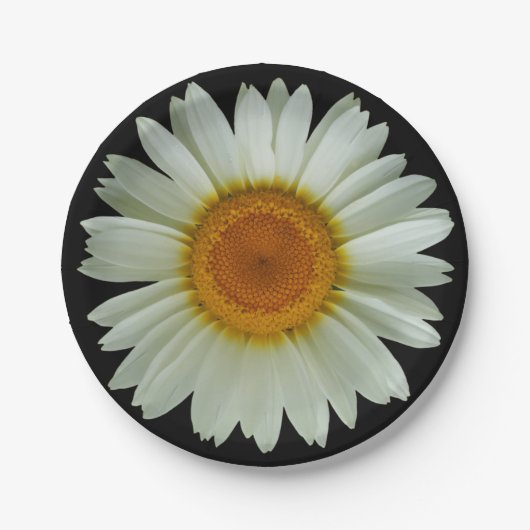 Modern White Daisy op Black Papieren Bordje (Voorkant)