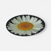 Modern White Daisy op Black Papieren Bordje (Gekanteld)