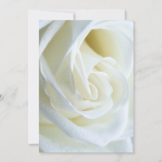 Modern White Rose Wedding Invitation Kaart (Achterkant)