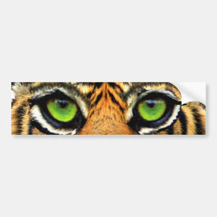 Modern Wild Tiger Bumpersticker