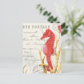 modern  zeepaard briefkaart (Staand voorkant)