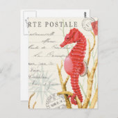 modern  zeepaard briefkaart (Voorkant / Achterkant)