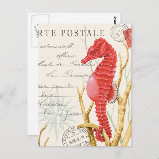 modern  zeepaard briefkaart (Voorkant / Achterkant)